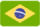 Idioma português do Brasil